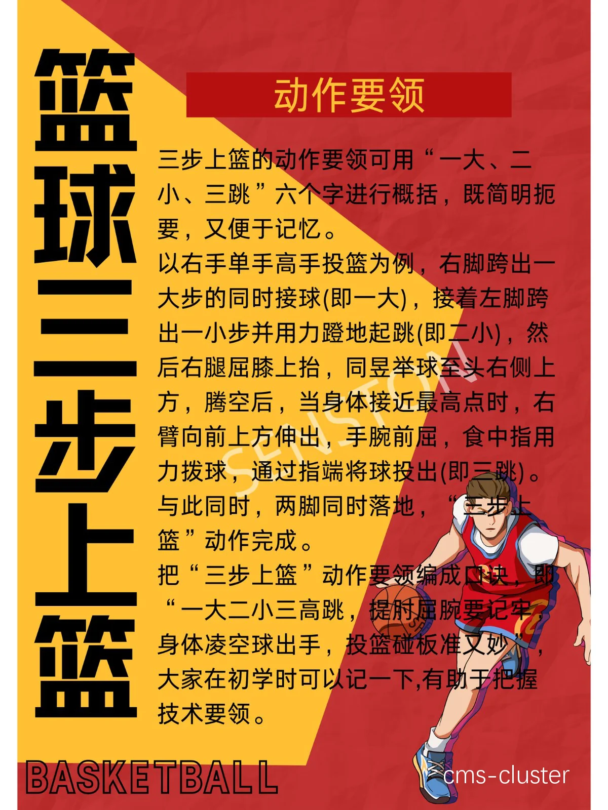 训练篮球是什么意思